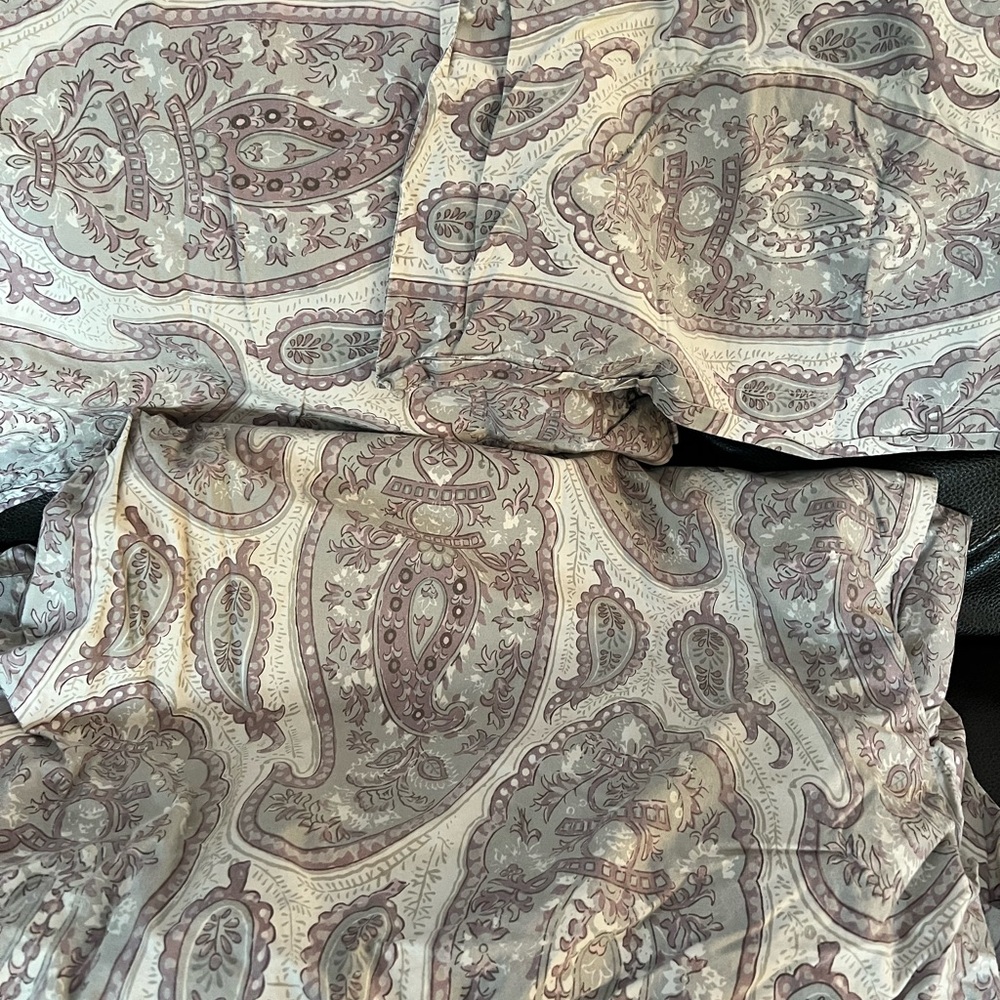 Pottery Barn Paisley Duvet Cover in Purple and Cream with 2 Standard Shams